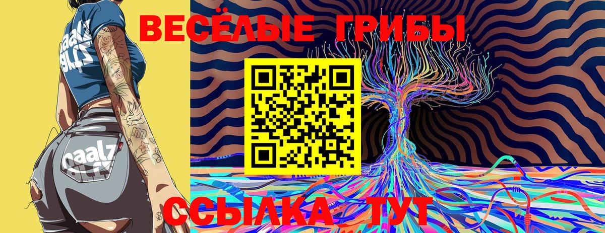 Псилоцибиновые грибы MAGIC MUSHROOMS  Вход с VPN  Галлюциногенные грибы прущие грибы  Волжск 